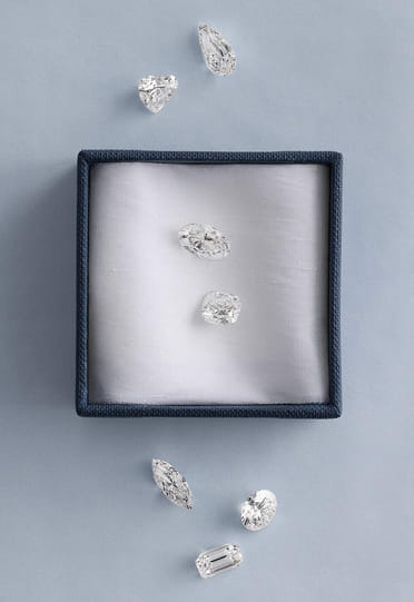 The extraordinary collection